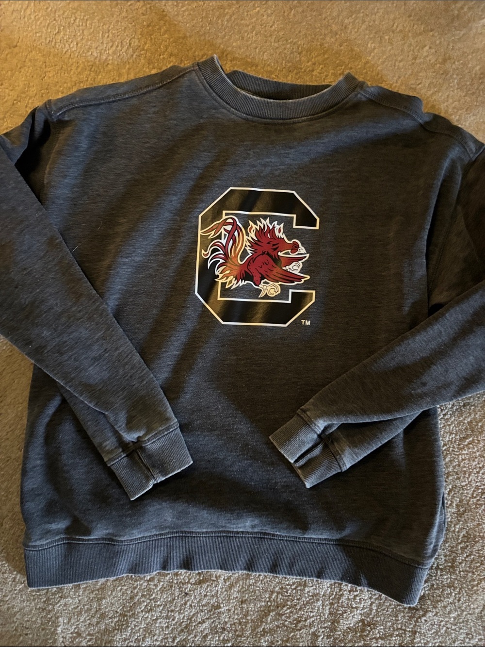 South Carolina Gamecocks Dark Gray Crewneck Sweatshirt small